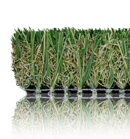 Native Grass 80 Artificial Grass