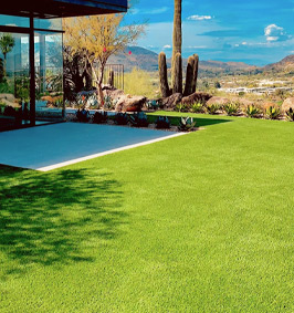 Residential Lawns